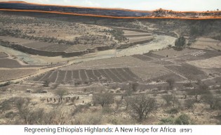 Hochland von �thiopien, Beispiel einer
                      Landschaft Sektor 4: Bergh�nge mit Erosion