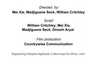 Die
                              Filmproduzenten 02