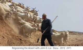 un reba�o de cabras se
                        alimenta y deja una monta�a desnuda