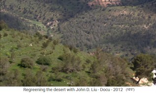 Jordania, paisaje regenerado
                      vallado durante 3 a�os