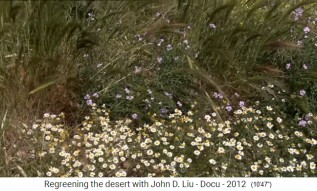 Jordania, zona regenerada con
                      diversidad de especies 1