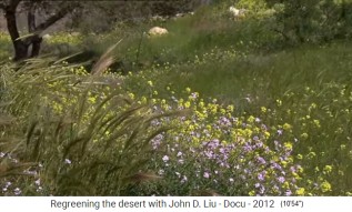 Jordania, zona regenerada con
                      diversidad de especies 2