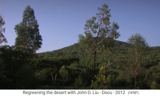 Etiop�a: Una monta�a
                      boscosa provoca un arroyo que fluye