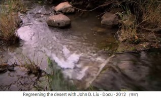 Etiop�a: Una
                      monta�a boscosa provoca un arroyo que fluye - el
                      arroyo