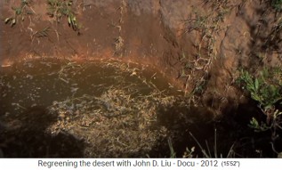 Etiop�a, aldea Abraha
                        Atsebaha, los pozos se est�n llenando