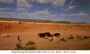 Etiop�a, aldea Abraha
                        Atsebaha, ganado en el desierto