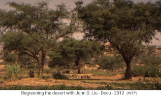 Etiop�a, el pueblo
                      regenerado Abraha Atsebaha con parque