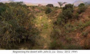 Etiop�a, el pueblo regenerado
                      Abraha Atsebaha con parque - con arbustos y
                      �rboles en las colinas