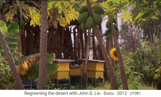 Etiop�a, el pueblo de Abraha
                      Atsebaha con papayas y �rboles - con papayas,
                      girasoles y colmenas