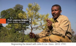 Etiop�a, Prof.
                    Legesse Negash de la Universidad de Addis Abeba