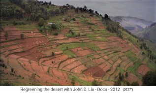 Ruanda, agricultura en
                      la ladera con erosi�n sin terrazas