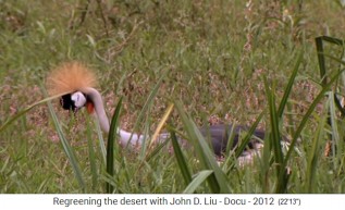 Ruanda,
                      humedales de Rugezi 3