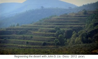Ruanda, terrazas para la agricultura
                    sin erosi�n