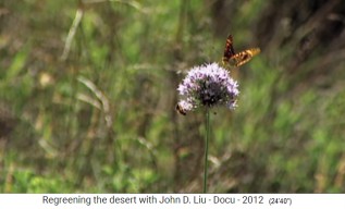 Ruanda, la biodiversidad vuelve
                      con flores y mariposas