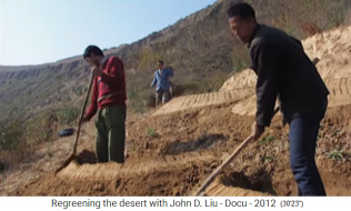 China L�ssplateau, Terrassen mit D�mmen 01