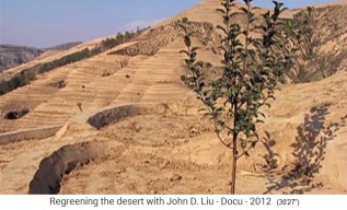 China, meseta de Loess, terrazas con diques
                    02