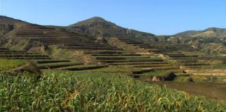 China, la meseta regenerada de Loess en
                    2012 01