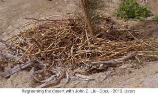 Jordania con un jard�n de permacultura, se
                    pone material org�nico (mull) alrededor de la planta
                    01