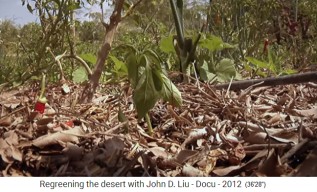 Jordania con un jard�n de permacultura, un
                    arbusto con material org�nico (mull) alrededor - el
                    material org�nico (mull) fue puesto 02