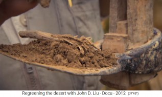 El suelo de permacultura en la meseta del
                        Loess es el mejor suelo, primer plano 02