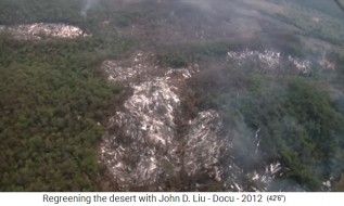 Bolivia con tala y quema 03, foto a�rea