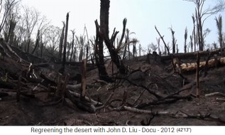 tala y quema en
                            Bolivia, donde el gobierno y la poblaci�n
                            a�n no tienen conocimiento de los ciclos
                            ecol�gicos ni de la permacultura.