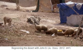 Jordania: Los animales comen materia
                    org�nica