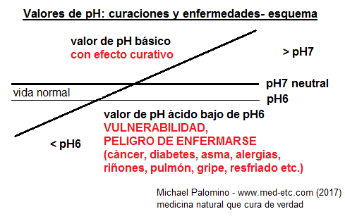 Esquema con valores de pH en el cuerpo: por debajo de pH6 hay una alta vulnerabilidad para las enfermedades, entre pH6 y pH7 esto es para la vida normal casi sin vulnerabilidad, pH7 es neutral, por encima de pH7 es efecto curativo, el c�ncer se cura con pH8