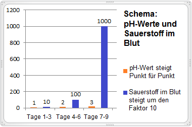 Schema mit der Verbindung zwischen pH-Wert im K�rper und Sauerstoff im Blut: Steigt der pH-Wert im K�rper um einen Punkt, steigt der Sauerstoff im Blut um den Faktor 10