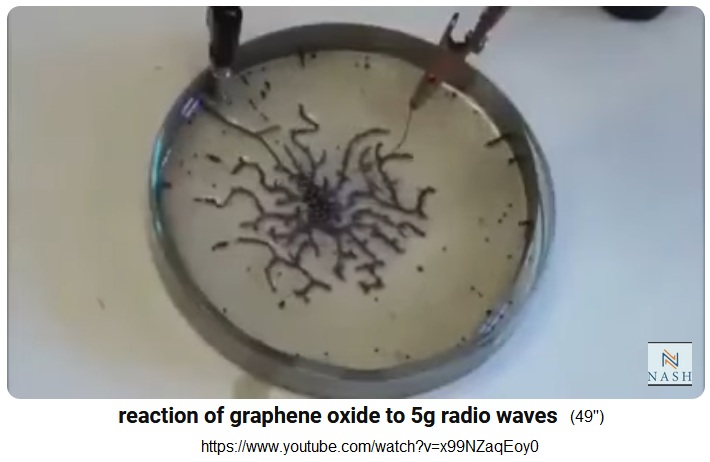 Video 20.9.2024: Die Reaktion von Graphen auf
5G-Radiowellen: Es bilden sich Ketten und Sterne: Video:
Reaction of graphene oxide to 5g radio waves (1'3'') Video 20.9.2024: Die Reaktion von Graphen auf
5G-Radiowellen: Es bilden sich Ketten und Sterne: Video:
Reaction of graphene oxide to 5g radio waves (1'3'')