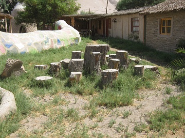 Bollard jumping 01 on Hari Krishna
                              farm "Eco Truly" in Lluta Valley
                              near Arica in Chile