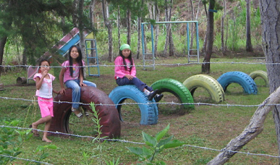 Tire jumping / tyre jumping 02
                              painted in different colors and in
                              different sizes, found in Tsachopen,
                              region of Oxapampa in Peru