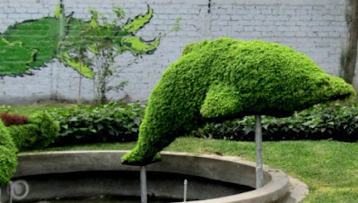Escultura de seto de
                            animal en el parque Sinchi Roca 01, un
                            delf�n, Lima, Per�