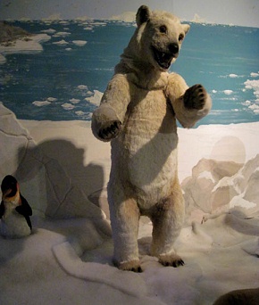 Tren de temas en Ibbenbueren 06, escena
                            en el hielo con un oso polar (�rtico) y con
                            un ping�ino (Ant�rtico)