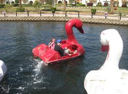 Aguas
                          05, barcos de pedalo en forma de cisnes en
                          Hurgada en la orilla del Mar Rojo en Egipto