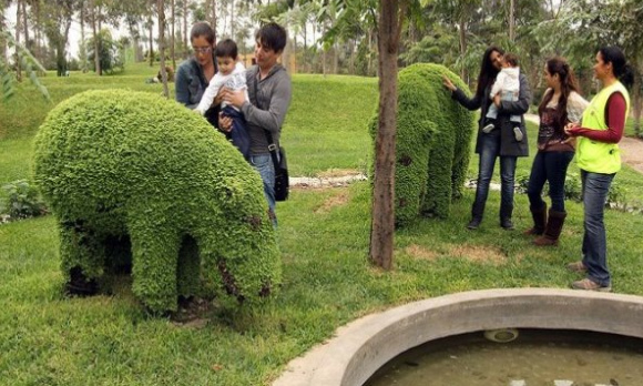 Tierplastiken aus Hecken, Nilpferde
                                01, Sinchi-Roca-Park (parque Sinchi
                                Roca), Lima