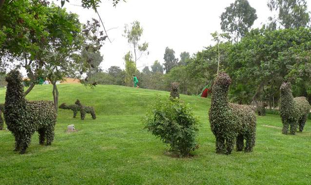Tierplastiken aus Hecken im
                                Sinchi-Roca-Park 05, Lamas, Lima, Peru