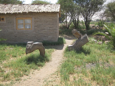 Pollerspringen 03 auf der
                              Hari-Krishna-Farm "Eco Truly" im
                              Lluta-Tal bei Arica, Chile