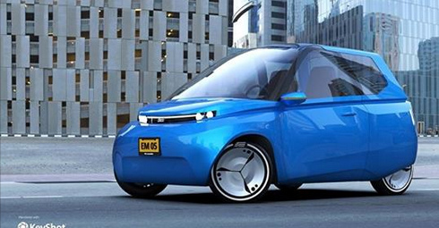 Auto aus Flachs und Zucker: Noah aus Holland
                  NL