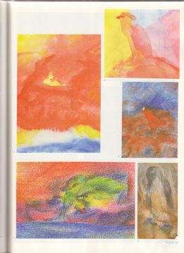 Tafel 40: Tierkunde 06 (5., 6.
                          Schuljahr)