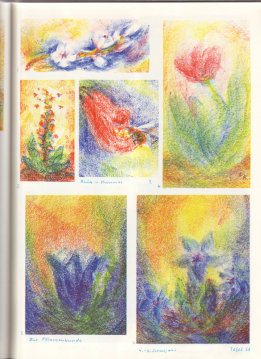 Tafel 54: Pflanzenkunde 02 in
                          Bienenwachsfarben (4.-6. Schuljahr)