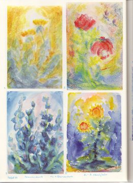 Tafel 55: Pflanzenkunde 03 in
                          Pflanzenfarben (6.-9. Schuljahr)