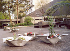 Untaugliche Blumenk�bel, die nach
                                unten hin spitz zulaufen, sind eine
                                grosse Gefahr f�r Sehbehinderte: Der
                                Blindenstock entdeckt sie viel zu sp�t.